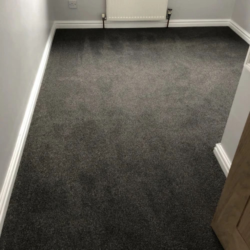 Dark Gray carpet