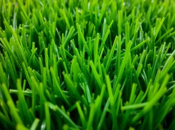 Polypropylene Artificial Grass Carpet